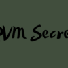 RVM Secrets By Sam Bart image 600x400