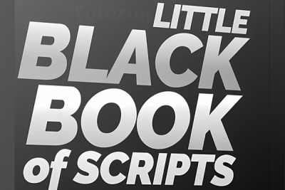 Sales professional using the Little Black Book of Scripts to improve communication with clients.