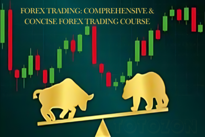 Screenshot of forex trading platform showing real-time market analysis and trades