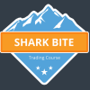 Trader analyzing charts using the Big Fish Shark Bite Strategy, identifying key entry and exit points.