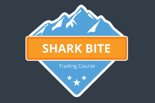 Trader analyzing charts using the Big Fish Shark Bite Strategy, identifying key entry and exit points.