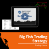 Trader analyzing charts using the Big Fish Trading Strategy