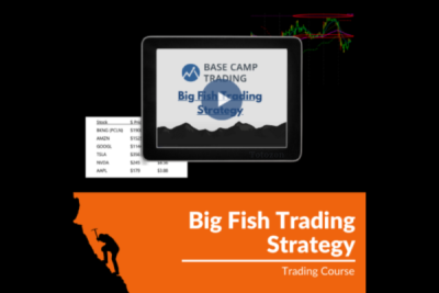 Trader analyzing charts using the Big Fish Trading Strategy