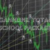 Trader analyzing market charts using Gann angles and time cycles, part of the Gannline Total School Package.