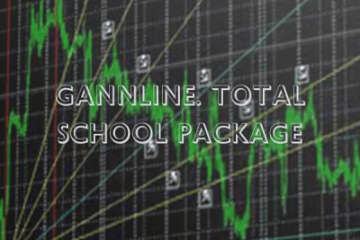 Trader analyzing market charts using Gann angles and time cycles, part of the Gannline Total School Package.