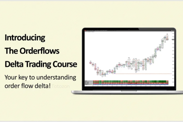 Trader analyzing order flow data on multiple screens