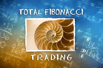 Trader learning Fibonacci trading techniques with TradeSmart University's course materials.