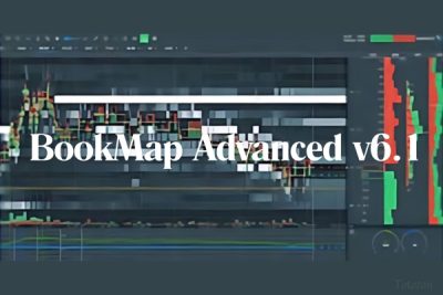 Trader using BookMap Advanced v6.1 on a computer to analyze market trends and order book data