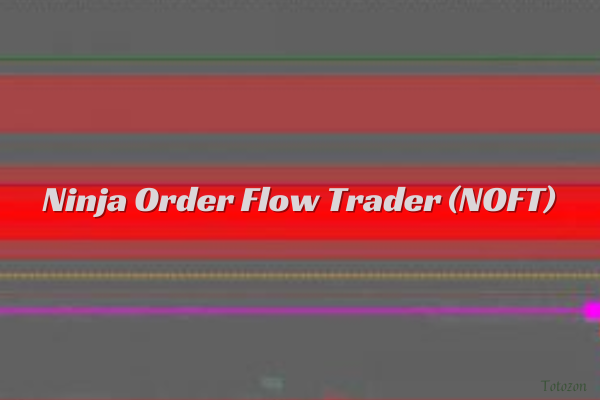 Trader using Ninja Order Flow Trader NOFT software to analyze market depth and order flow on a computer scree 1