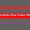 Trader using Ninja Order Flow Trader (NOFT) software to analyze market depth and order flow on a computer scree