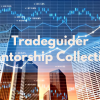 Trader using Tradeguider Mentorship Collection tools to analyze market trends and improve trading strategies.