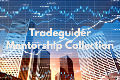 Trader using Tradeguider Mentorship Collection tools to analyze market trends and improve trading strategies.