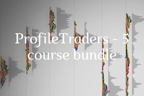 Traders engaged in an online course from the ProfileTraders 5-course bundle, learning trading strategies and techniques