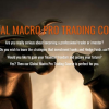 Traders engaging in a Global Macro Pro Trading Course, analyzing market data.