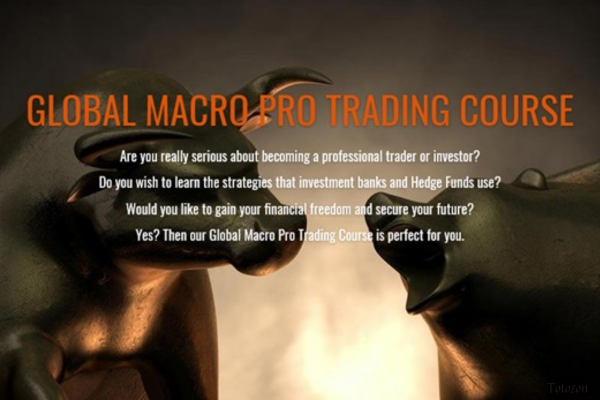 Traders engaging in a Global Macro Pro Trading Course, analyzing market data.