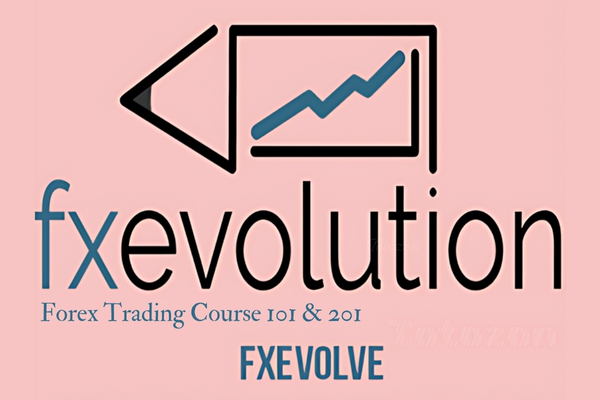 Traders learning forex strategies through interactive courses