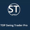 Traders using Swing Trader Pro platform with advanced charting tools and market scanners