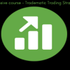 Trading strategies and tools from the Tradematic Trading Strategy Intensive Course. (2)