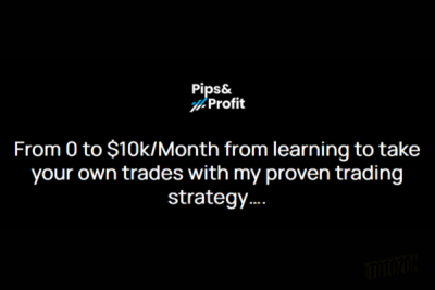 A Forex trader analyzing charts, implementing the Full Pips & Profit Strategy for maximum trading success