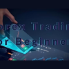 A beginner trader learning forex trading concepts, symbolizing the detailed and supportive nature of the article