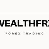 A group of traders participating in a live trading session on the WealthFRX Trading Mastery 3.0 platform.