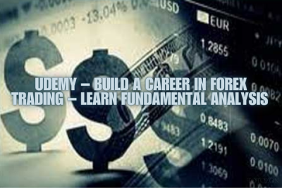 A trader analyzing Forex charts on a computer, learning fundamental analysis from Luciano Kelly