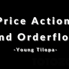 A trader analyzing market charts, representing the comprehensive learning experience offered by the Price Action and Orderflow Course with Young Tilopa