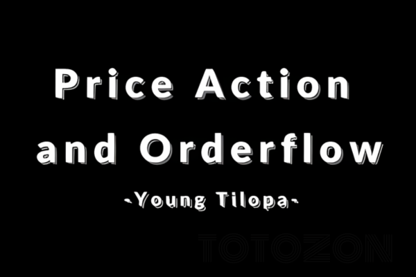 A trader analyzing market charts, representing the comprehensive learning experience offered by the Price Action and Orderflow Course with Young Tilopa