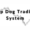 A trader analyzing momentum indicators on a computer screen, showcasing the Top Dog Trading System in action