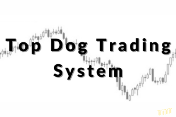 A trader analyzing momentum indicators on a computer screen, showcasing the Top Dog Trading System in action