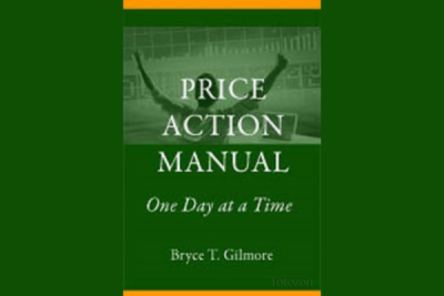 A trader analyzing price charts using price action techniques from Bryce Gilmore's manual