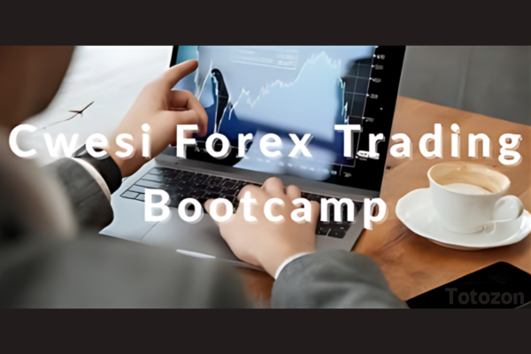 A trader coding an algorithm in a forex trading platform, symbolizing the hands-on learning experience in the Cwesi Forex Trading Bootcamp