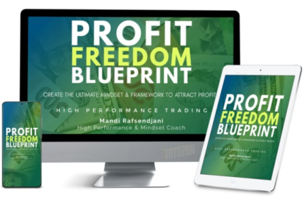 An illustration of the Profit Freedom Blueprint, highlighting key strategies and performance optimization techniques