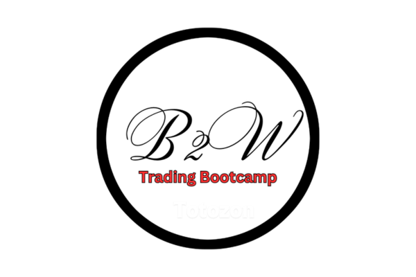 Beginner to Winner Boot Camp - Forex Trading Success with Pips2Profit img