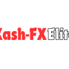 Kash-FX Elite Course img