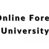 Online Forex University Course image