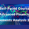 Self-Paced Course – Advanced Financial Statements Analysis 2024 img