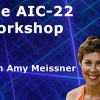 The AIC-22 Workshop with Amy Meissner - Aeromir img