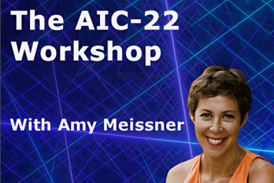 The AIC-22 Workshop with Amy Meissner - Aeromir img