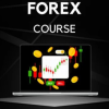 group of traders participating in a forex course, engaging in hands-on learning and discussions.