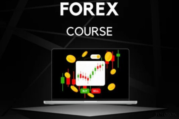 group of traders participating in a forex course, engaging in hands-on learning and discussions.